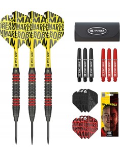 Rzutki Lotki Target VAN DEN BERGH 22g STEEL ZESTAW